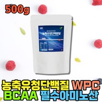 히스티딘 류신 단백질 프로틴 보충제 유청분말 쉐이크 프로테인 BCAA 비씨에이에이 농축 벌크업 식사대용 웨이 필수아미노산 엠비피 WPC 고단백 몸짱 벌크업 아침대용 whey protein
