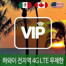 VIP 하와이 4G LTE 포켓 와이파이 매일 1GB 후 저속 국내공항 수령, 매일 1GB 후 저속 1일/대구공항