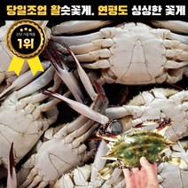 당일조업 활숫꽃게 연평도 살아있는 싱싱한 햇 활꽃게 2kg 3kg 4kg 빙장포장, 활숫꽃게 5kg 빙장포장