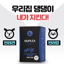 에스앤제이 반려동물 강아지 고양이 개 댕댕이 관절 영양제 종합 건강보조제, 2개, 기본맛