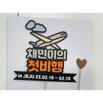 [기록토퍼] 해외여행/ 100일아기 / 첫비행기/ 첫제주도 / 제주도여행 / 괌여행 / 사이판여행 / 일본여행 / 첫비행 / 아기비행기
