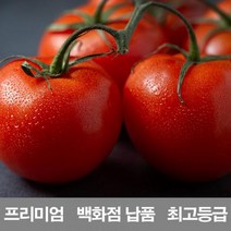 영화청과 국내산 토마토 3kg 프리미엄 백화점 남품 요리 즙 키우기 재배