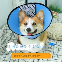 애견 엘리자베스 링 핥기 방지 고양이 케이스 딥 물림 방지 헤드 커버 핥기 방지발 상처 넥 워머플러, 블루