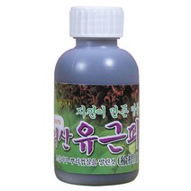 자연산 느릅나무 액(120ml)지리산 유근피 엑기스 즙 106770