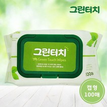 그린터치 물티슈 100매 캡형 한박스 안전한 물티슈 일회용 100매 판촉물 도톰한 안심 휴대용 대용량, 쿠팡2 핫초코 본상품선택