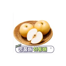 목에 좋은차180포 목감기 기침감기 목소리잠김 면역력강화 면력력증진, 코박힘뚫는법, 30포, 110ml