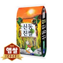 현대농산 2022년 햅쌀 신동진쌀 10kg 단일품종, 1개