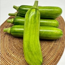 애호박 인큐 20개 국내산 어린 풋호박 판매 진맛깔
