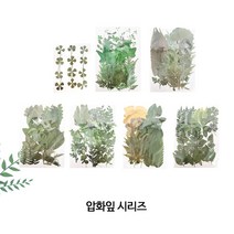 어르신 실버미술 공예체험 만들기 수업용 압화잎 7종 DIY키트 노인복지회관 패키지, GH 38