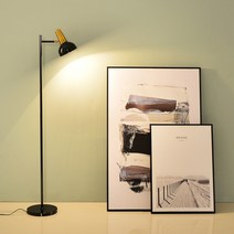 콜린퍼스 장스탠드 플로어 무드등 감성 조명 화이트+8w led 벌브 하얀빛, 색상