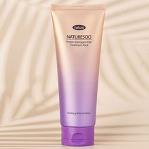 네이처수 전문가용 극손상 단백질 헤어 트리트먼트 헤어팩, 200g, 1개