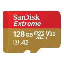 샌디스크 익스트림 메모리카드 마이크로칩 QXA1, 128GB