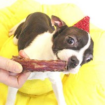 웰리아펫 오리목뼈 500g x 2 국내산 강아지 수제간식, 500g 2개