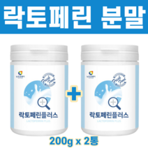 간편하게 먹는 락토페린 유산균 농축물 초유 단백질 프로틴 프로테인 아르기닌 분말 가루 위에 좋은 음식