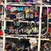 예카레더 양 / 염소 천연가죽 랜덤 묶음상품, 10장