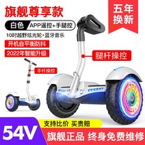 호버보드 10inch 팔걸이 킥보드 투휠보드 전동휠, C01-36V, T15-54V플래그 존귀판