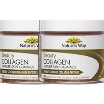 Natures Way 네이쳐스 웨이 뷰티 콜라겐 메츄어 스킨 Beauty Collagen Mature Skin 40정, 2개