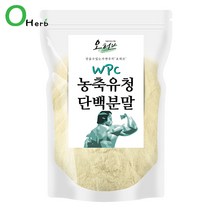 오허브 농축 유청단백질분말 유청분말 1kg, 500g, 2봉