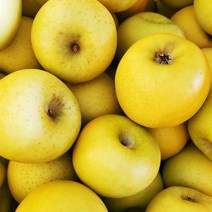 시나노 골드 황금사과 노란사과 사과 스위트 2kg 3kg, 시나노골드 가정용 2kg 7-10과, 1개