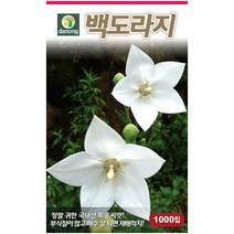 다농 질경이 5g - 씨 씨앗 질경이씨앗 질경이씨 차전초 길장구 배부장이 배합조개 나물씨앗 민속채소 채소씨 채소씨앗, 19_다농_백도라지(1000립)