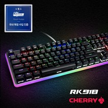 로얄클루지 RK918 RGB LED 체리 청축 기계식 키보드