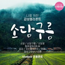 다온폰트 타이핑치는 캘리그라피 소담구름 1년 쿠폰(윈도우전용), DAON SODAM CLOUD / 12