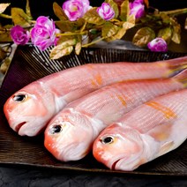 제주 참옥돔 -반건조급냉- 대 2kg (7~8마리), 1개