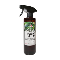꽃피우는시간 식물영양제 따사로운햇볕, 스프레이형(500ml)