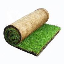 잔디매트 천연잔디 생잔디 무토잔디 롤잔디, 천연 양잔디 (150cm x 65cm)