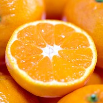 제주 감귤 10kg 육즙팡팡 상콤달콤, 한라봉 가정용(50과 내외)