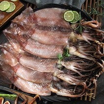 촉촉한 반건조 오징어 촉촉한 특대사이즈 반건조 오징어 10미, 단일옵션