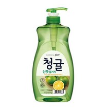 참그린 청귤 설거지 1종 주방 세제 야채 과일 식기 세척 세정제 1kg