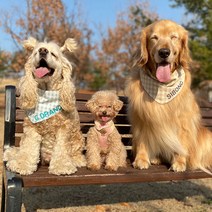 모모스페이스 강아지 스카프 이름 얼굴 대형견 고양이 애견 케이프 악세사리 레트리버 S 2XL, XL, 옐로우