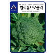 팜스마켓 브로콜리씨앗 얼리유 100립 브로콜리 종자텃밭 도시농업, 1.얼리유 브로콜리씨앗 100립