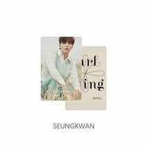 seventeen세븐틴 달링 굿즈 동일 스몰 카드, seungkwan