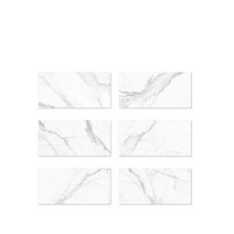 카페 고급상가인테리어 포세린타일 벽 바닥 무광 비앙코카라라 고급대리석타일 레그노 REG-02, REG-02（스타투아리오 플러스 매트）