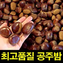 밤 밤효능 햇공주밤 1KG 칼집O 약단밤 밤삶는법 군밤