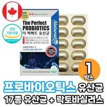 프로 바이오틱스 LGG 100억 유산균 락토바실러스 프락토올리고당 프롤린 장건강 장내 유익균증식 유해균억제 도움 식물성캡슐 식약처인증 건강기능식품, 1박스, 60캡슐
