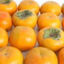 산지직송 창원 북면 단감 10kg(61-70과)