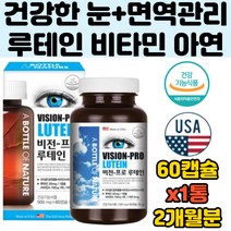 미국 눈영양제 루테인 식약처인증 나아아신 구리 셀렌 시력 유지 보호제 건강 기능 관리 황반 망막 빌베리 블루베리 비타민B2 피리독신 효모 아연 면역 레시틴 영양제 눈 피로 개선