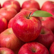 [만원의행복] 꿀당도 안동 빨간 햇 사과5kg 소과 실중량 외 과수별 모음, 05 경북 빨간 햇사과 2.5kg 특대