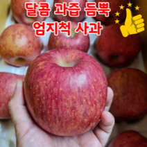 고당도 15브릭스 부사 사과 10kg 거창 경북 안동사과 선물용, 특정품부사 / 10kg / 대과 20-30과