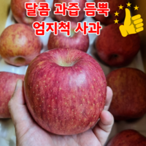 [ 고당도 15브릭스 ] 맛보장 햇 부사 사과 10kg 안동 거창사과 경북사과, 가정용 흠과부사 / 10kg / 대과 20-30과