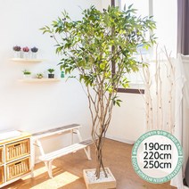 실내인테리어 인조나무 123종 / 플트 조화나무 C, C09.라인-올리브나무 250cmK/코너형, 1개