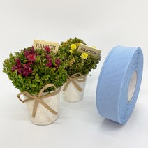 포장 리본 끈 제이제이리본 쉬폰리본25mm 40mm 21컬러 (길이 45M) 공단리본, CF13, 25mm