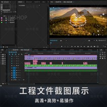 사진앨범 PR템플릿 웨딩드레스 결혼선물 전자 앨범 스튜디오 영상 제작 의식 격려 Hiuha 증정, 0