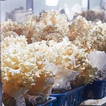 무농약 친환경 재배 생 꽃송이 버섯1kg 명절 추석 선물세트