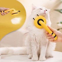 빗어줄께 허니비콤