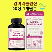감마리놀렌산 보라지유 대두이소플라본 월경전 캡슐 식약처 인정 건기식품 현하트몰 보