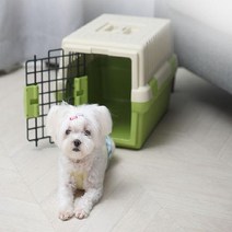 심플펫 이동장 핑크 강아지 애견 산책 외출 이동가방, 스피드컴119고양일산지점 본상품선택